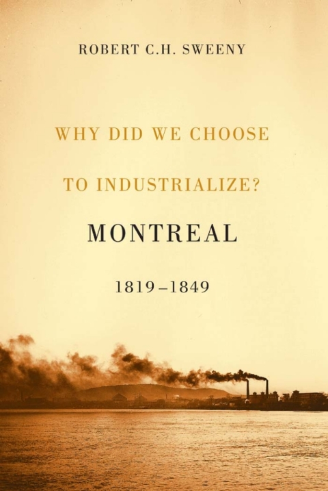 Cover image for book Why Did We Choose to Industrialize?