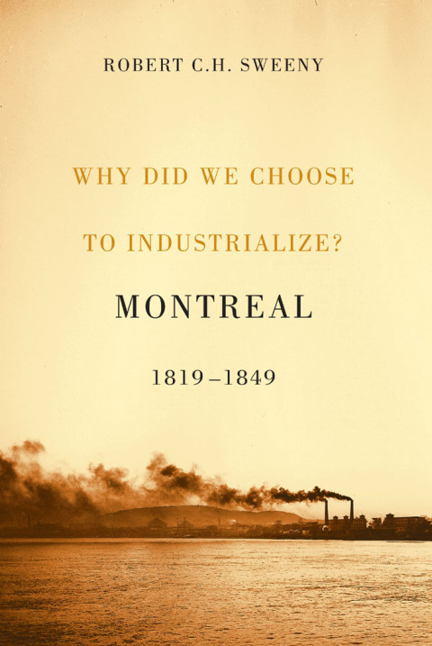 Cover image for book Why Did We Choose to Industrialize?