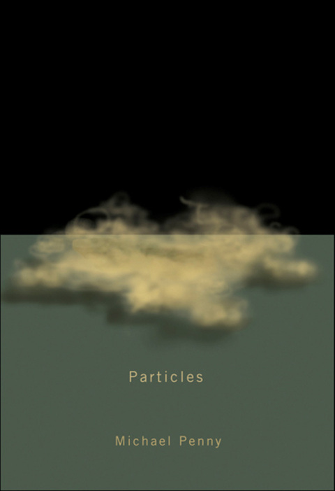 Cover image for book Particles