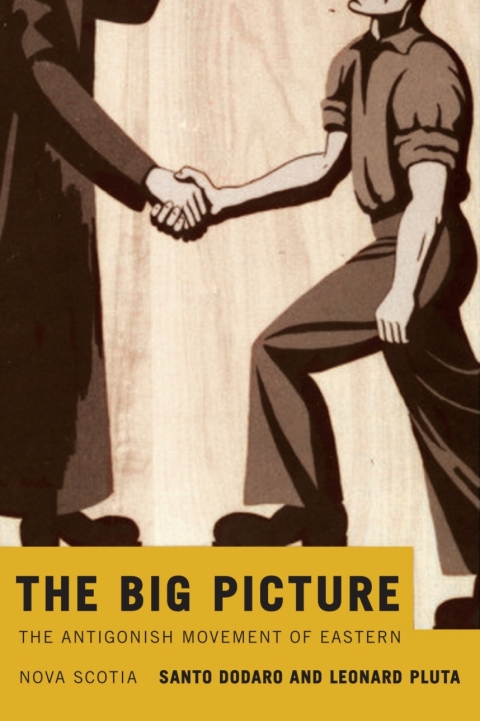 Cover image for book The Big Picture