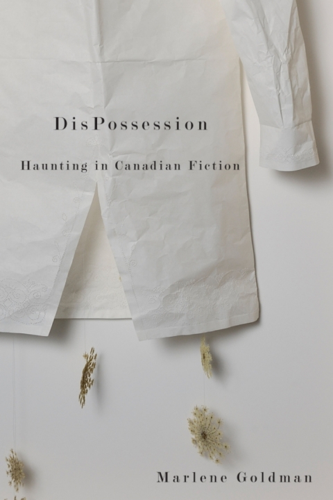 Cover image for book DisPossession