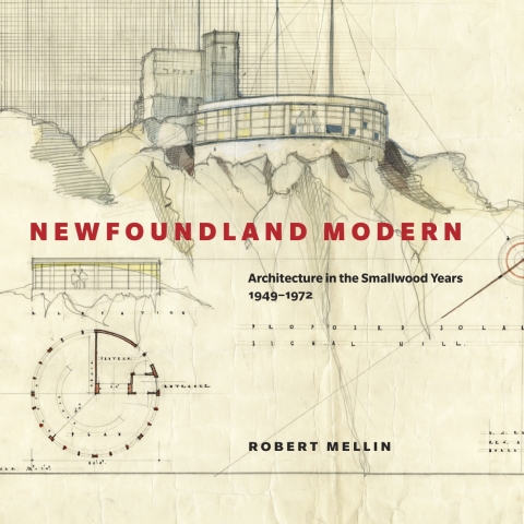 Cover image for book Newfoundland Modern
