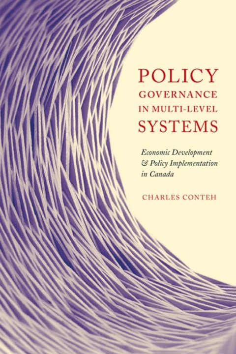 Cover image for book Policy Governance in Multi-level Systems