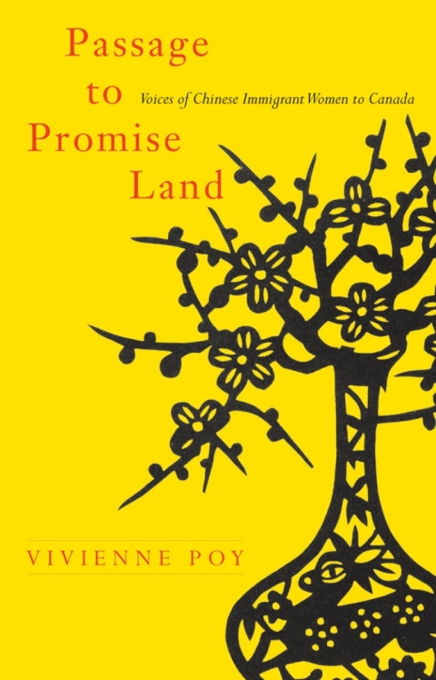 Cover image for book Passage to Promise Land