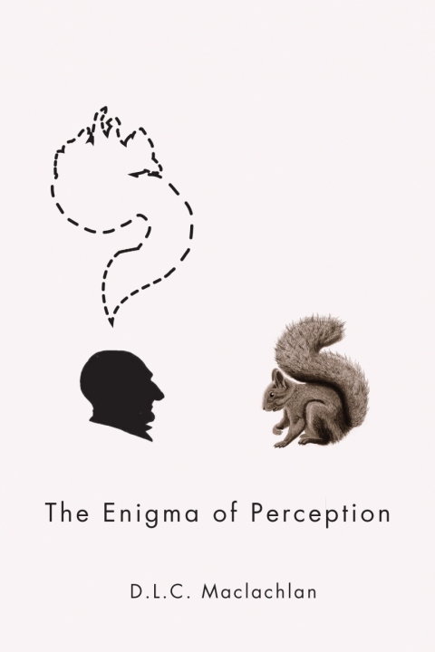 Cover image for book The Enigma of Perception