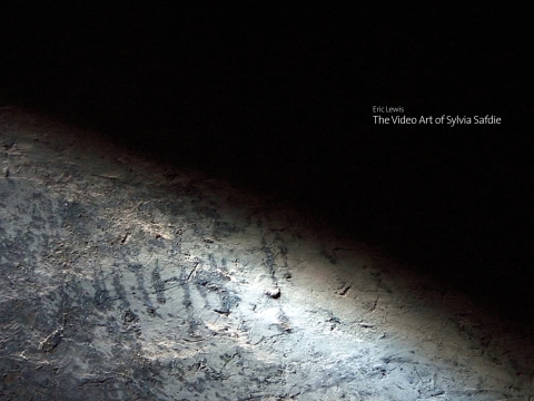 Cover image for book The Video Art of Sylvia Safdie