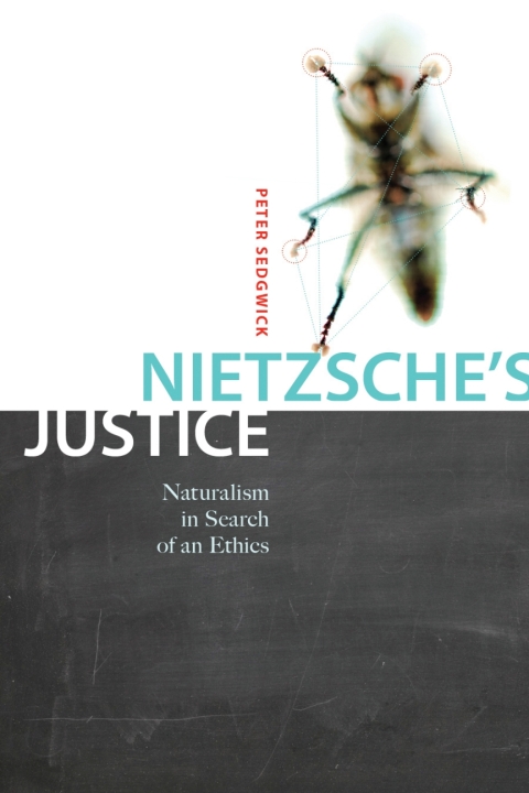 Cover image for book Nietzsche's Justice