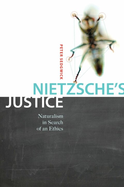 Cover image for book Nietzsche's Justice