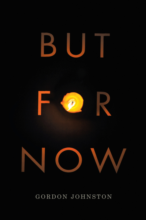 Cover image for book But for Now