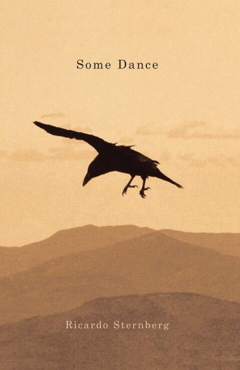 Cover image for book Some Dance