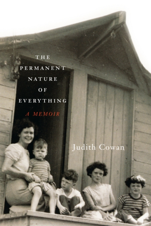 Cover image for book The Permanent Nature of Everything