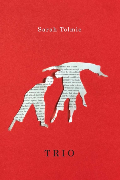 Cover image for book Trio