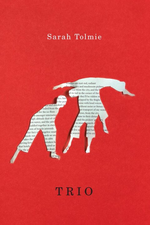 Cover image for book Trio