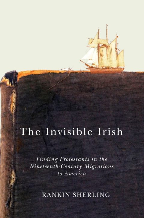 Cover image for book The Invisible Irish