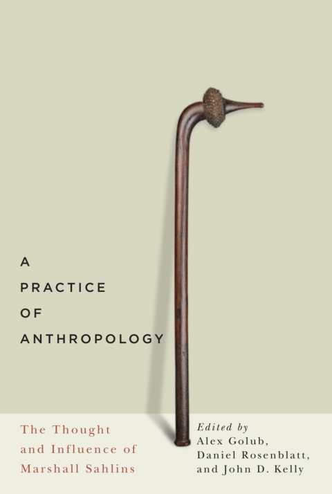 Cover image for book A Practice of Anthropology