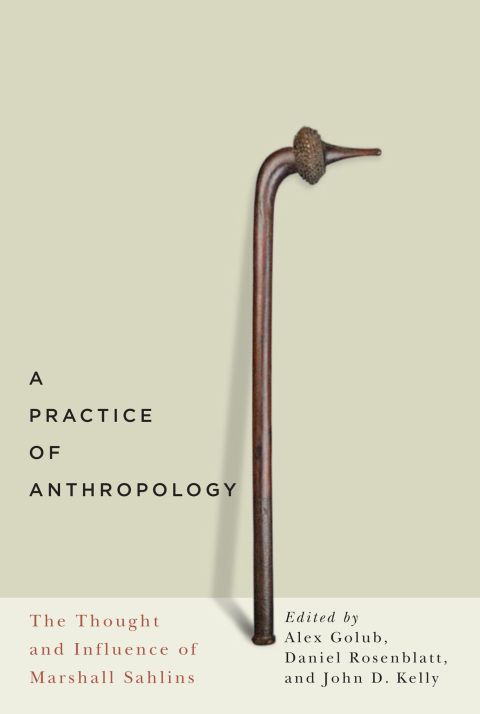 A Practice of Anthropology 