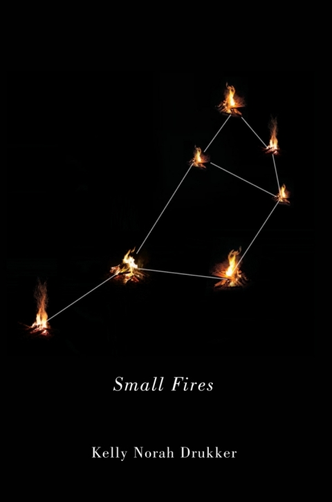 Cover image for book Small Fires