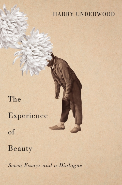 Cover image for book The Experience of Beauty