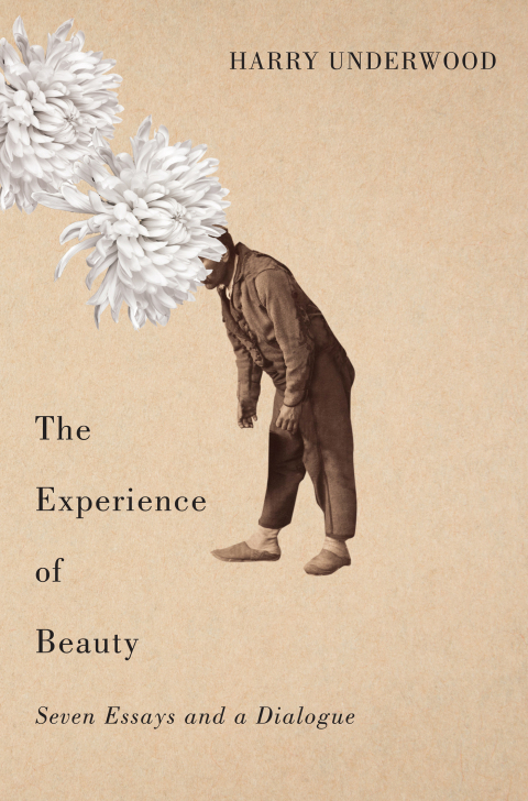 Cover image for book The Experience of Beauty