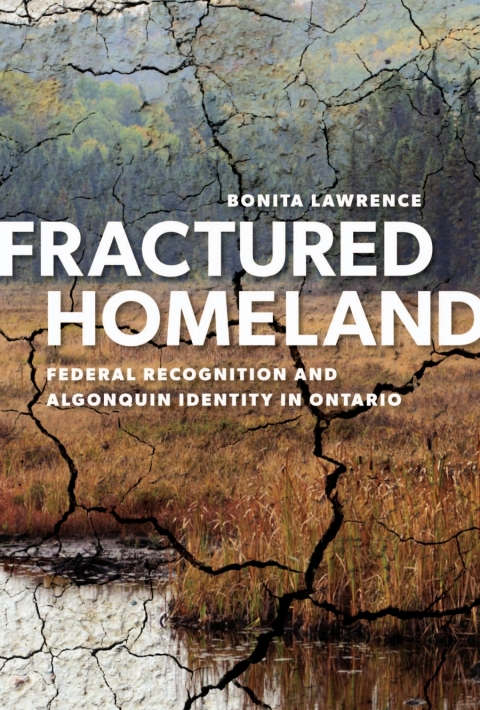 Cover image for book Fractured Homeland