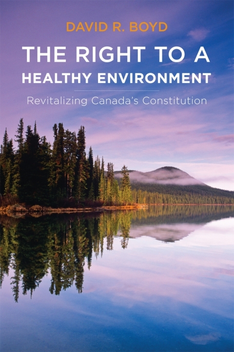 Cover image for book The Right to a Healthy Environment