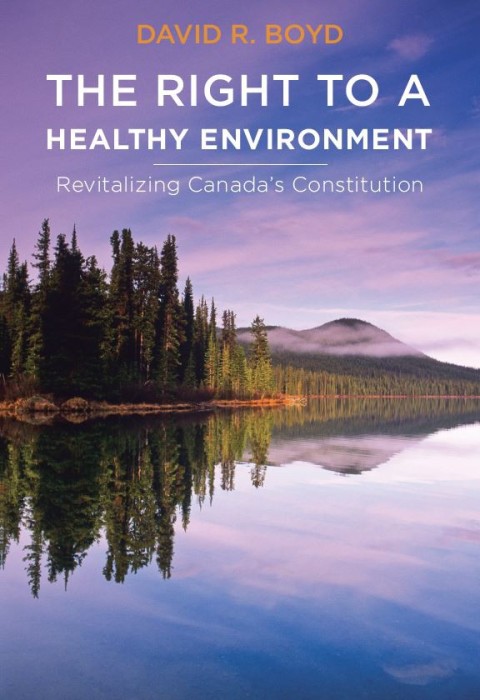 Cover image for book The Right to a Healthy Environment