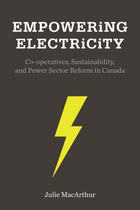Cover image for book Empowering Electricity