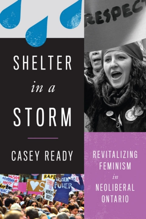 Cover image for book Shelter in a Storm