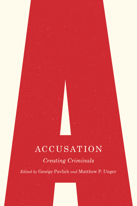 Cover image for book Accusation