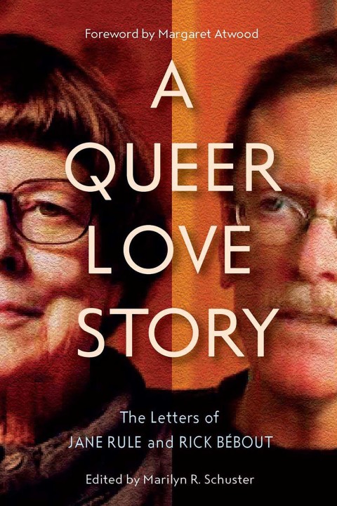 Cover image for book A Queer Love Story