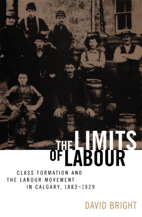 The Limits of Labour 