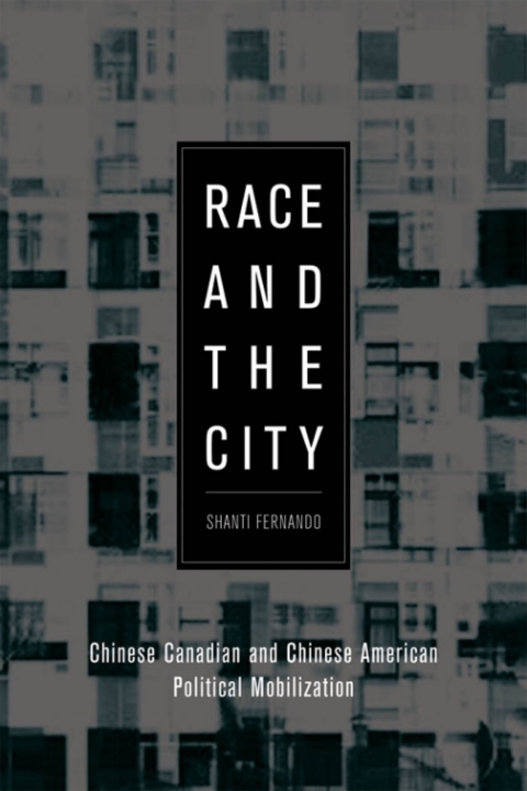 Cover image for book Race and the City