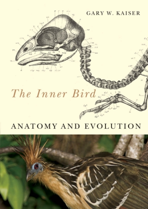 Cover image for book The Inner Bird