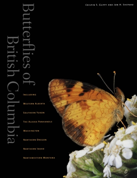 Cover image for book Butterflies of British Columbia