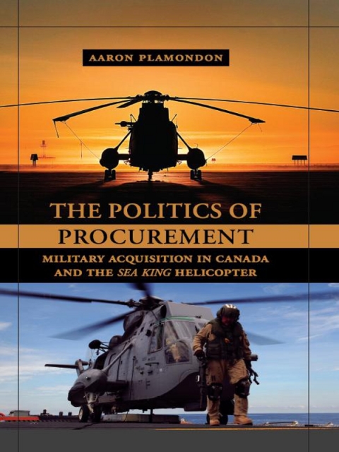 Cover image for book The Politics of Procurement