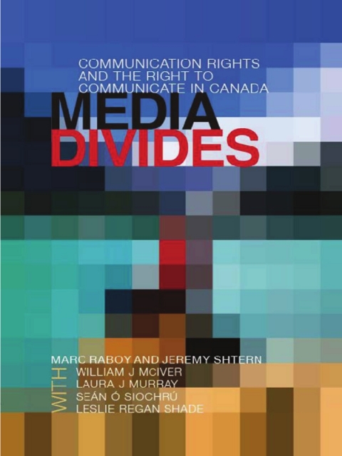 Cover image for book Media Divides