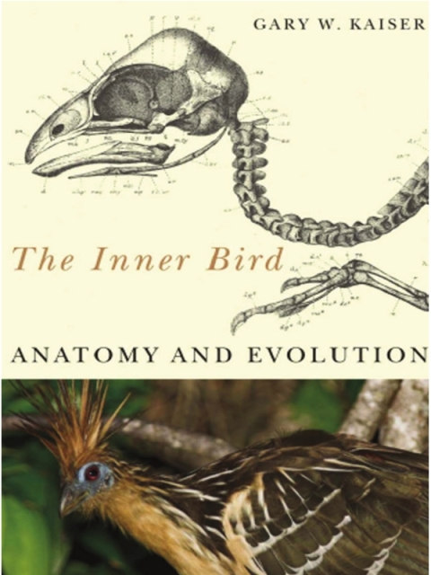 Cover image for book The Inner Bird