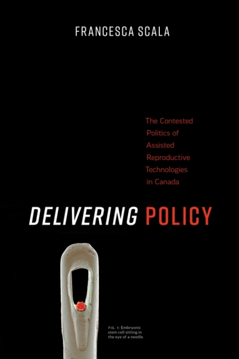 Cover image for book Delivering Policy