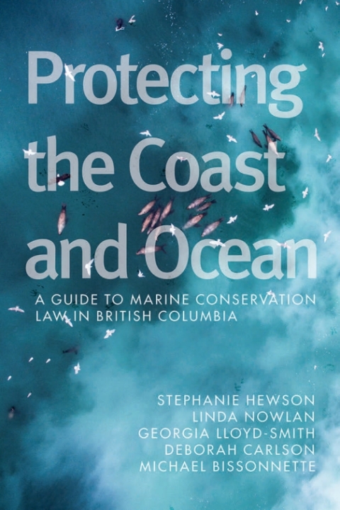 Cover image for book Protecting the Coast and Ocean