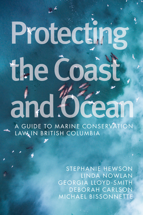 Cover image for book Protecting the Coast and Ocean
