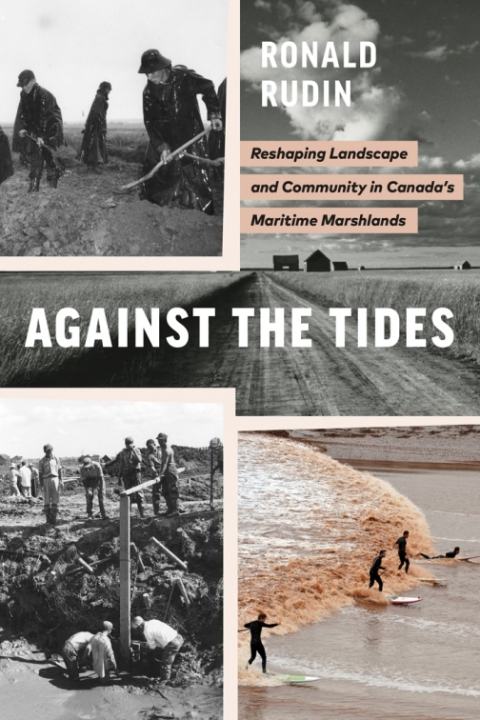 Cover image for book Against the Tides