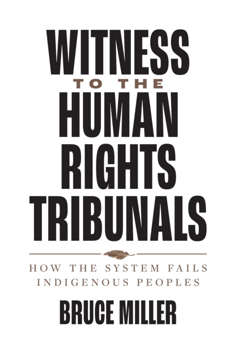 Cover image for book Witness to the Human Rights Tribunals
