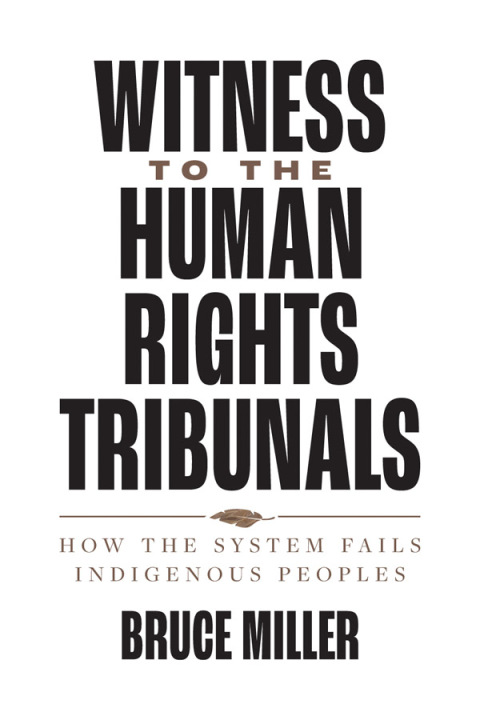 Cover image for book Witness to the Human Rights Tribunals