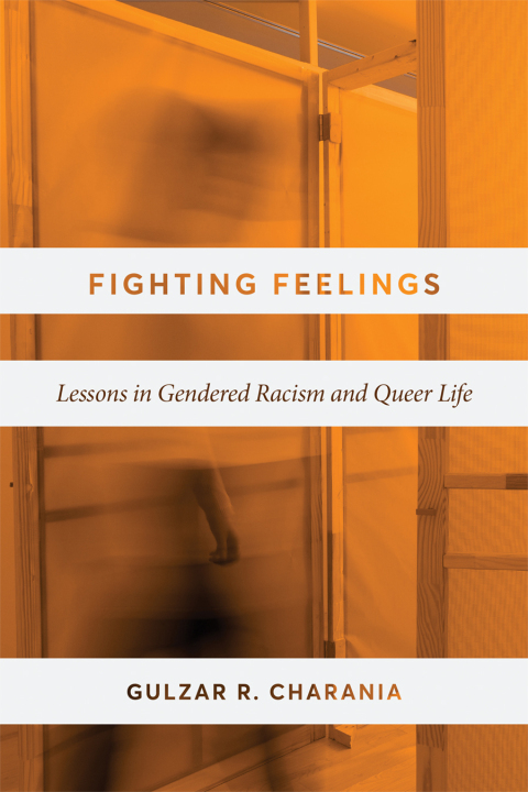 Cover image for book Fighting Feelings