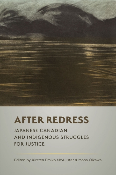 Cover image for book After Redress