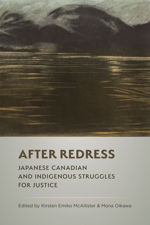 Cover image for book After Redress