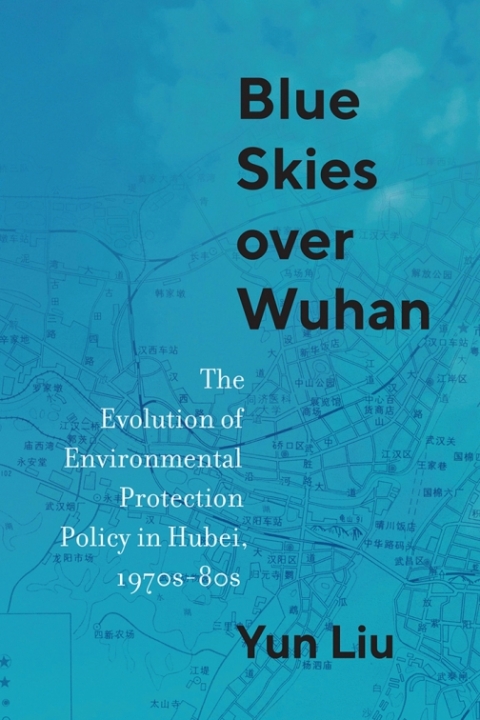 Cover image for book Blue Skies over Wuhan