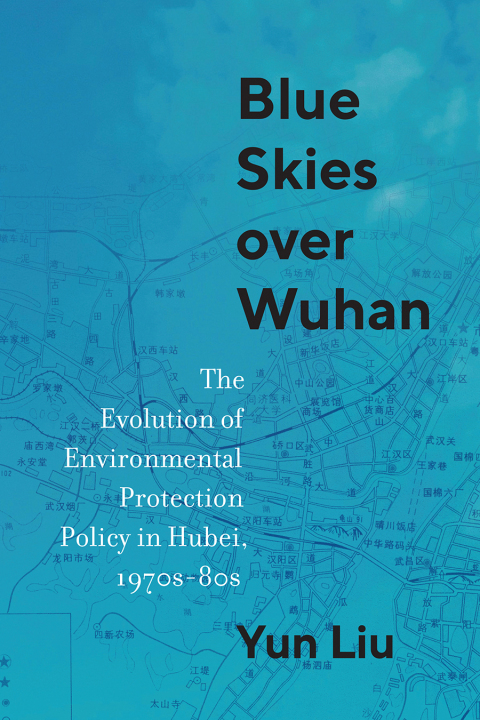 Cover image for book Blue Skies over Wuhan