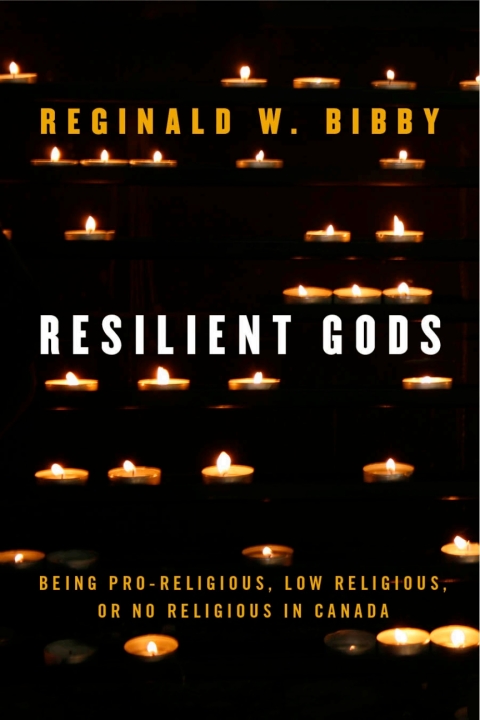 Cover image for book Resilient Gods