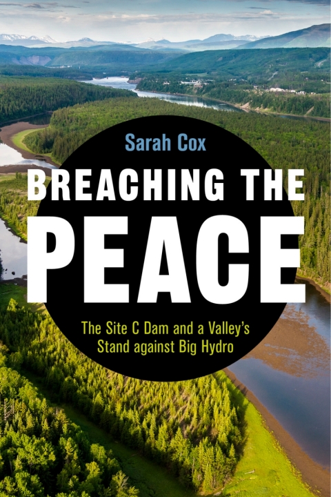 Cover image for book Breaching the Peace